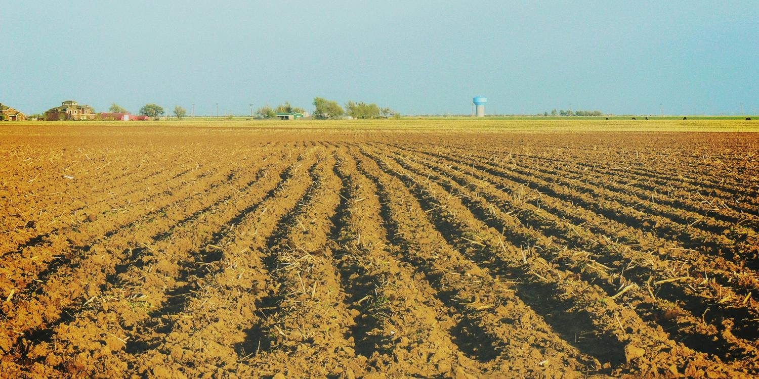 Background image of Amarillo