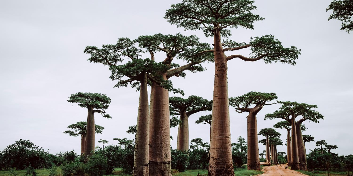 Background image of Antananarivo