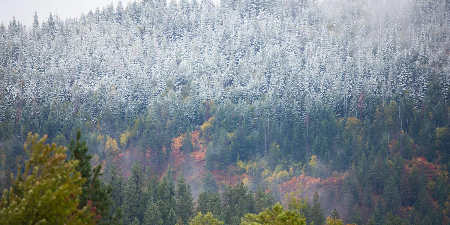 Background image of Coeur d'Alene