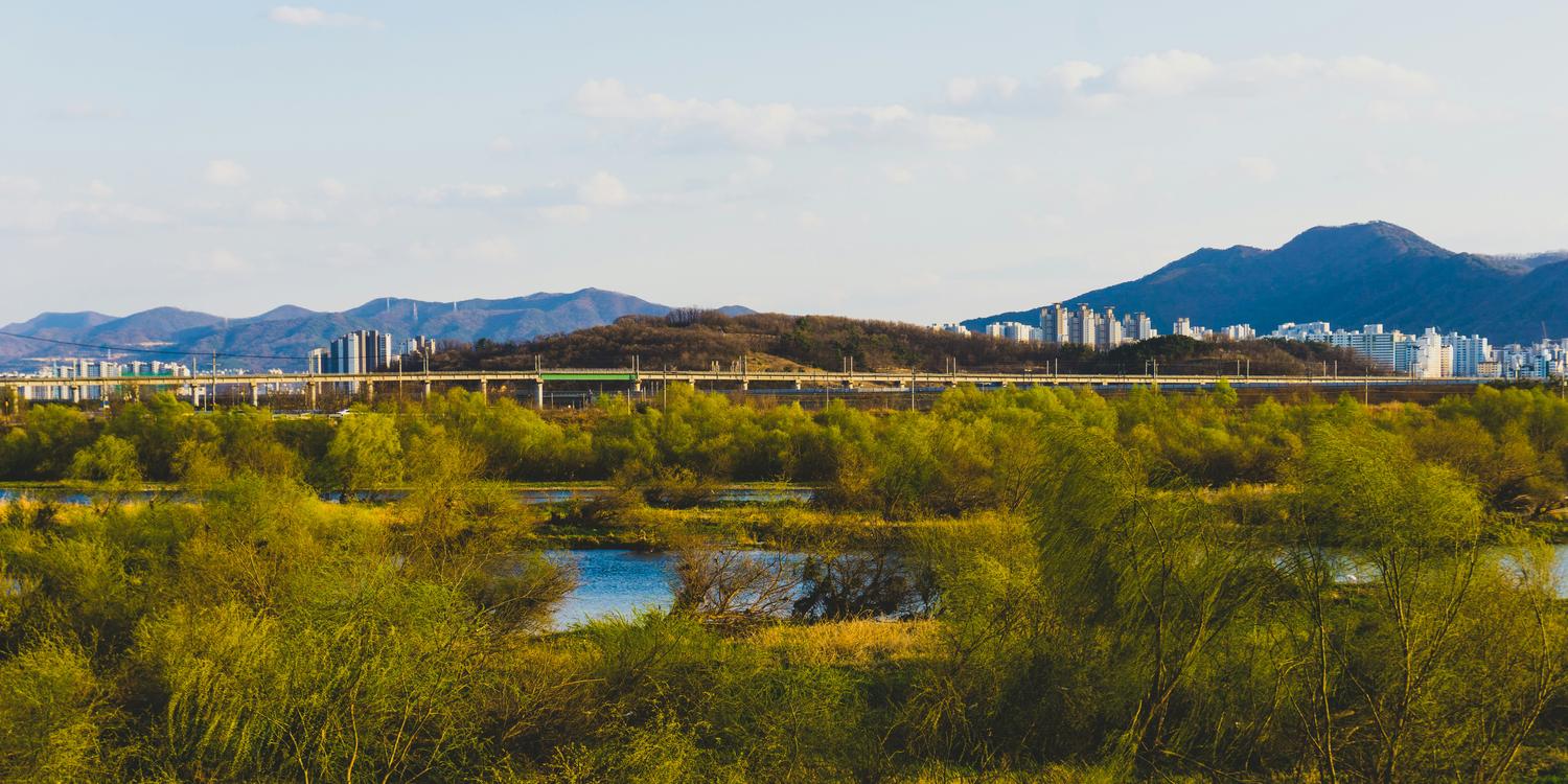 Background image of Daegu