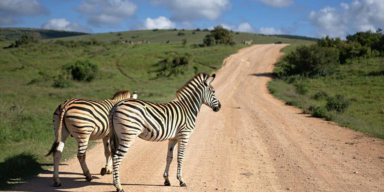 Background image of Juba