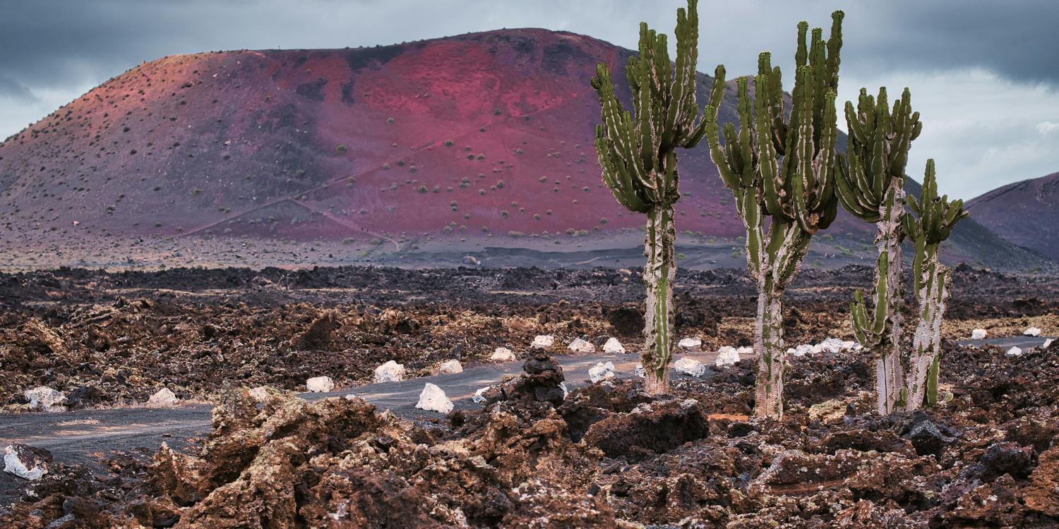 Background image of Lanzarote