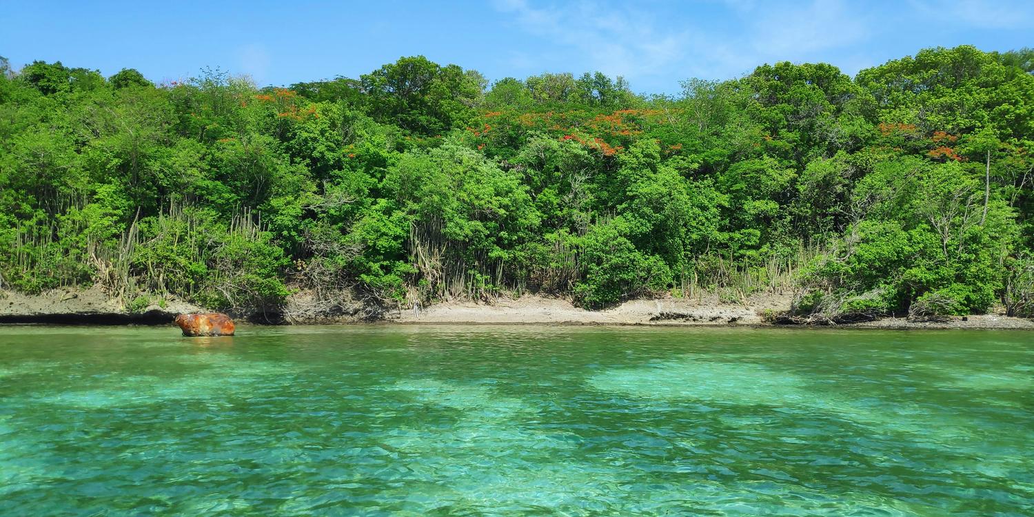 Background image of Martinique