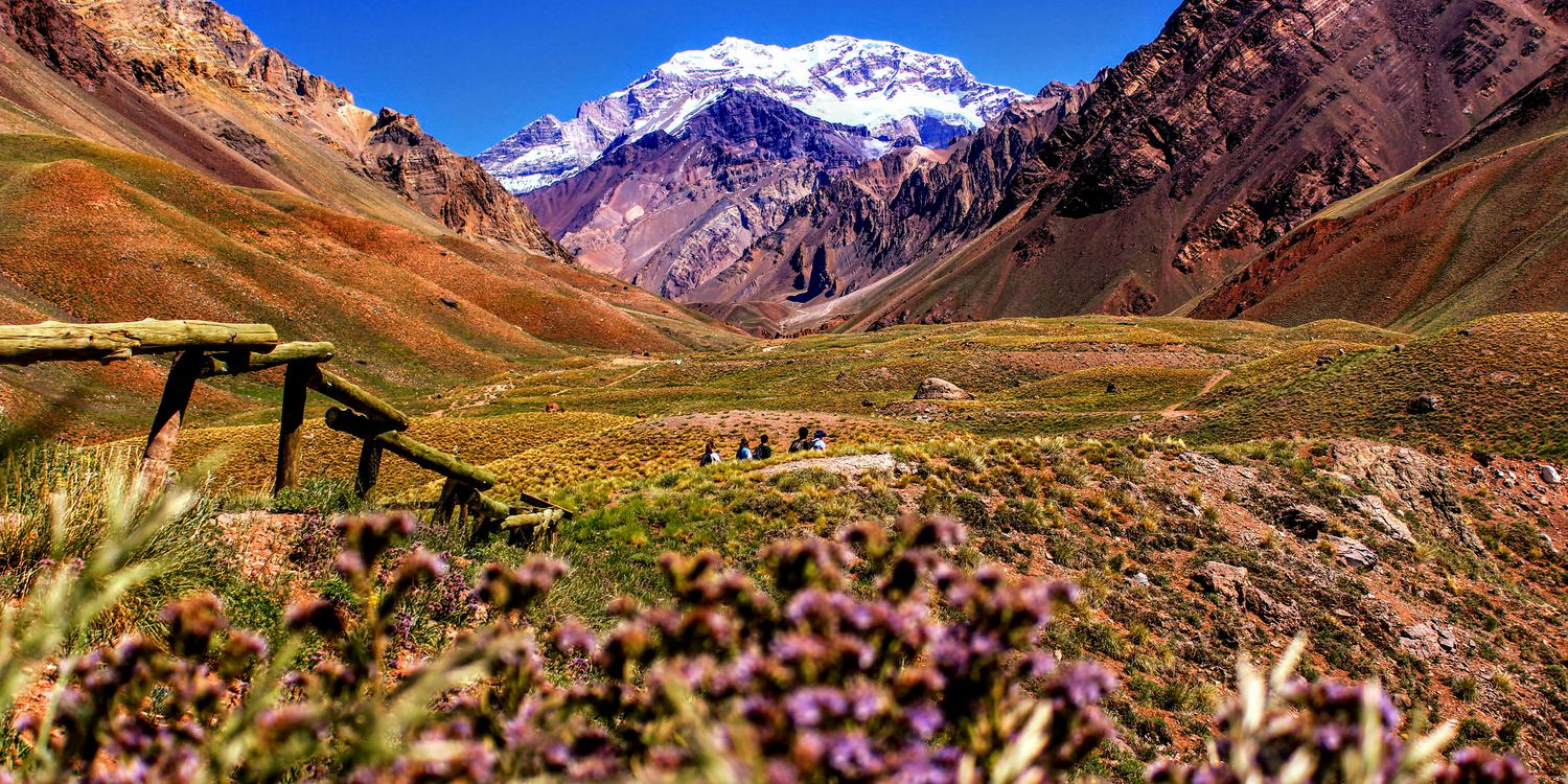 Background image of Mendoza