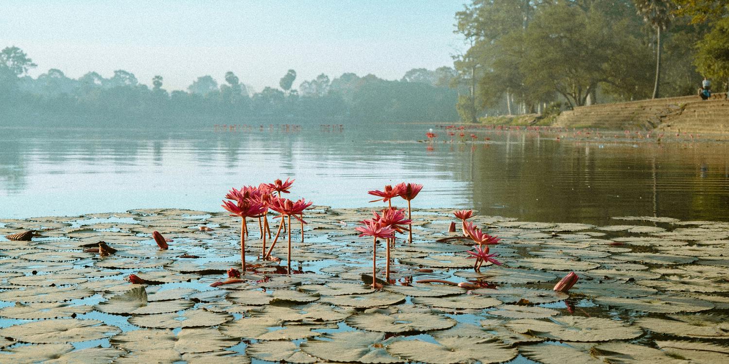 Background image of Siem Reap