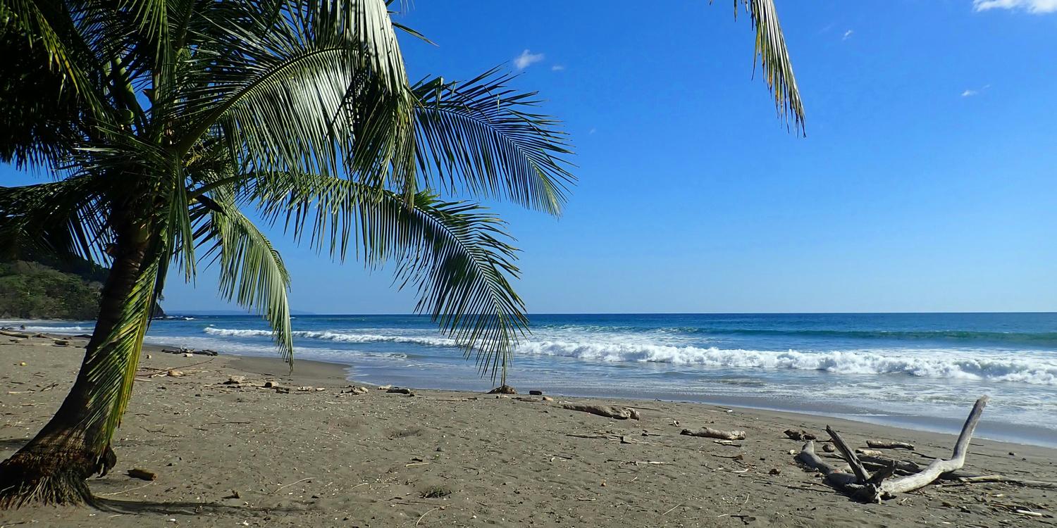 Background image of Tamarindo